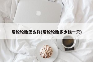 盾轮轮胎怎么样(盾轮轮胎多少钱一只)