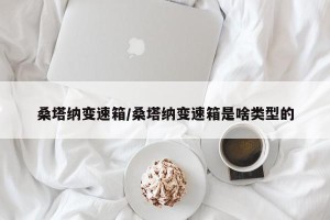 桑塔纳变速箱/桑塔纳变速箱是啥类型的