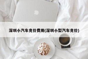 深圳小汽车竞价费用(深圳小型汽车竞价)
