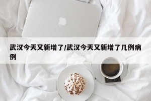 武汉今天又新增了/武汉今天又新增了几例病例