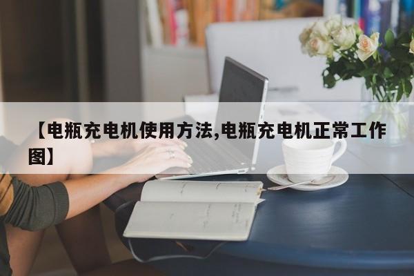 【电瓶充电机使用方法,电瓶充电机正常工作图】